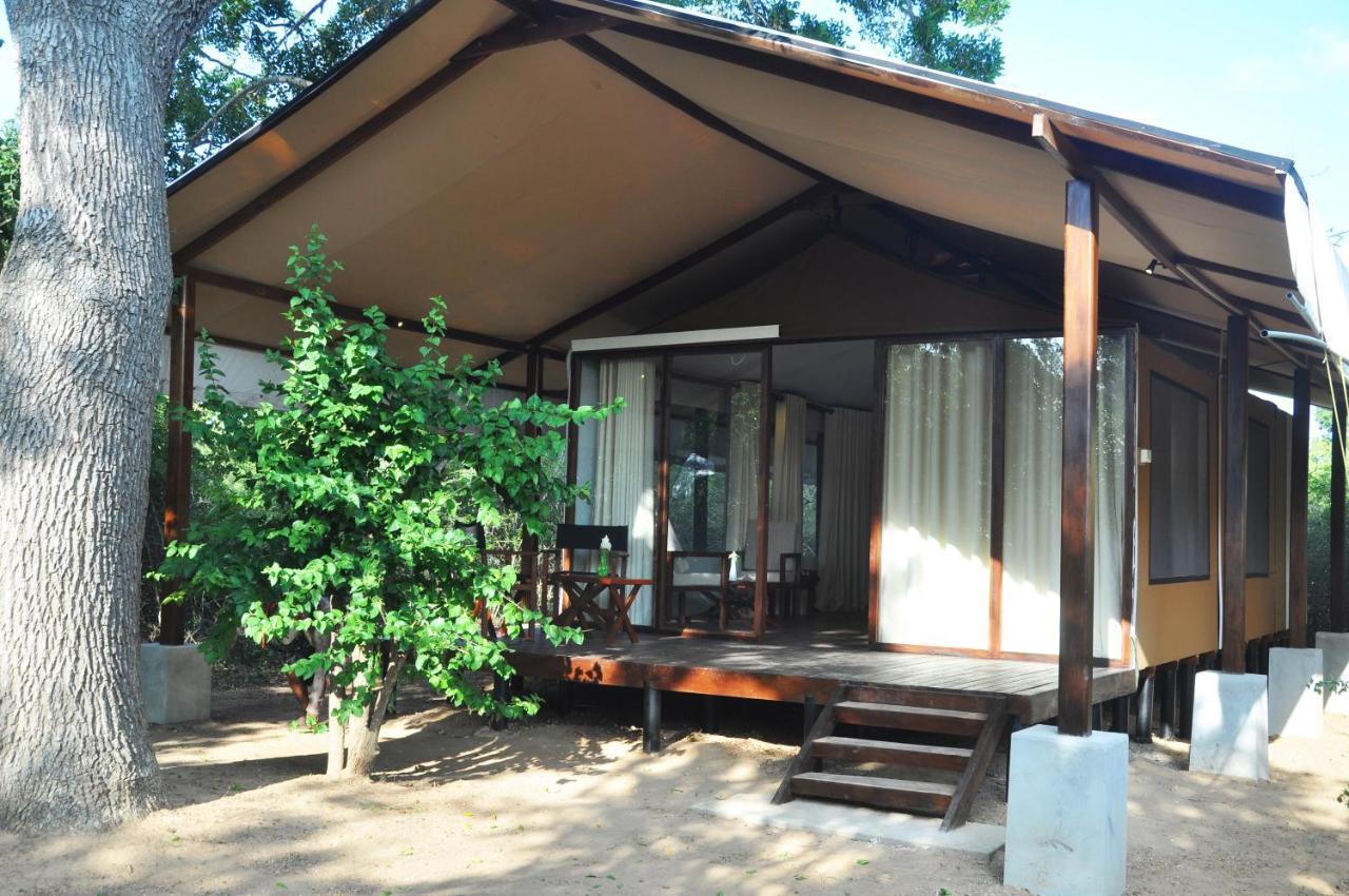 Wild Trails Yala By Suri Hotel Luaran gambar