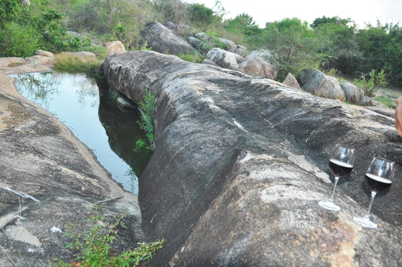 Wild Trails Yala By Suri Hotel Luaran gambar
