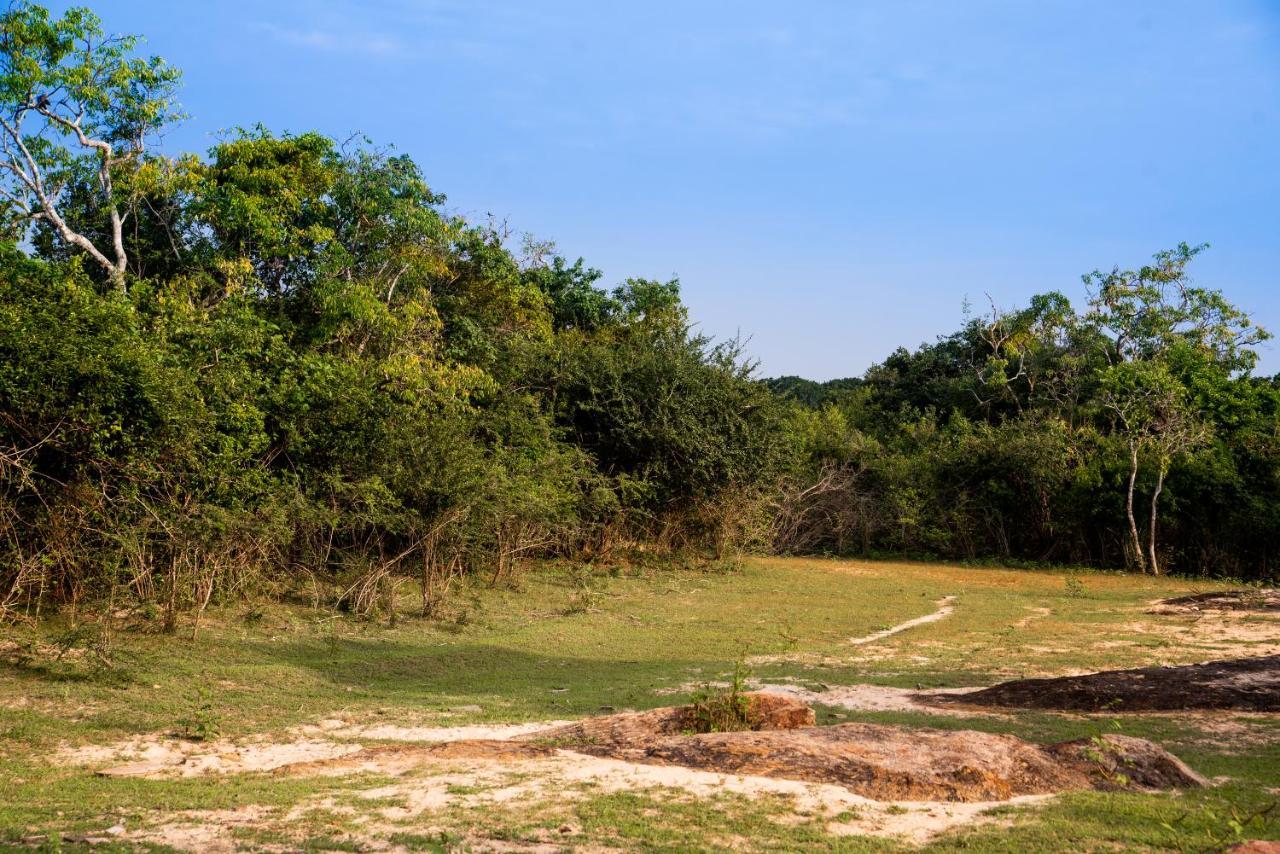 Wild Trails Yala By Suri Hotel Luaran gambar